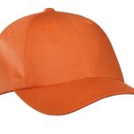 cooked-carrot