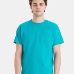Hanes 5280 Unisex Essential-T T-Shirt