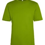 Acid Green Acid Green