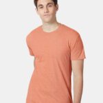 Hanes 42TB Unisex Perfect-T Triblend T-Shirt