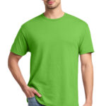29M_kiwi_model_front