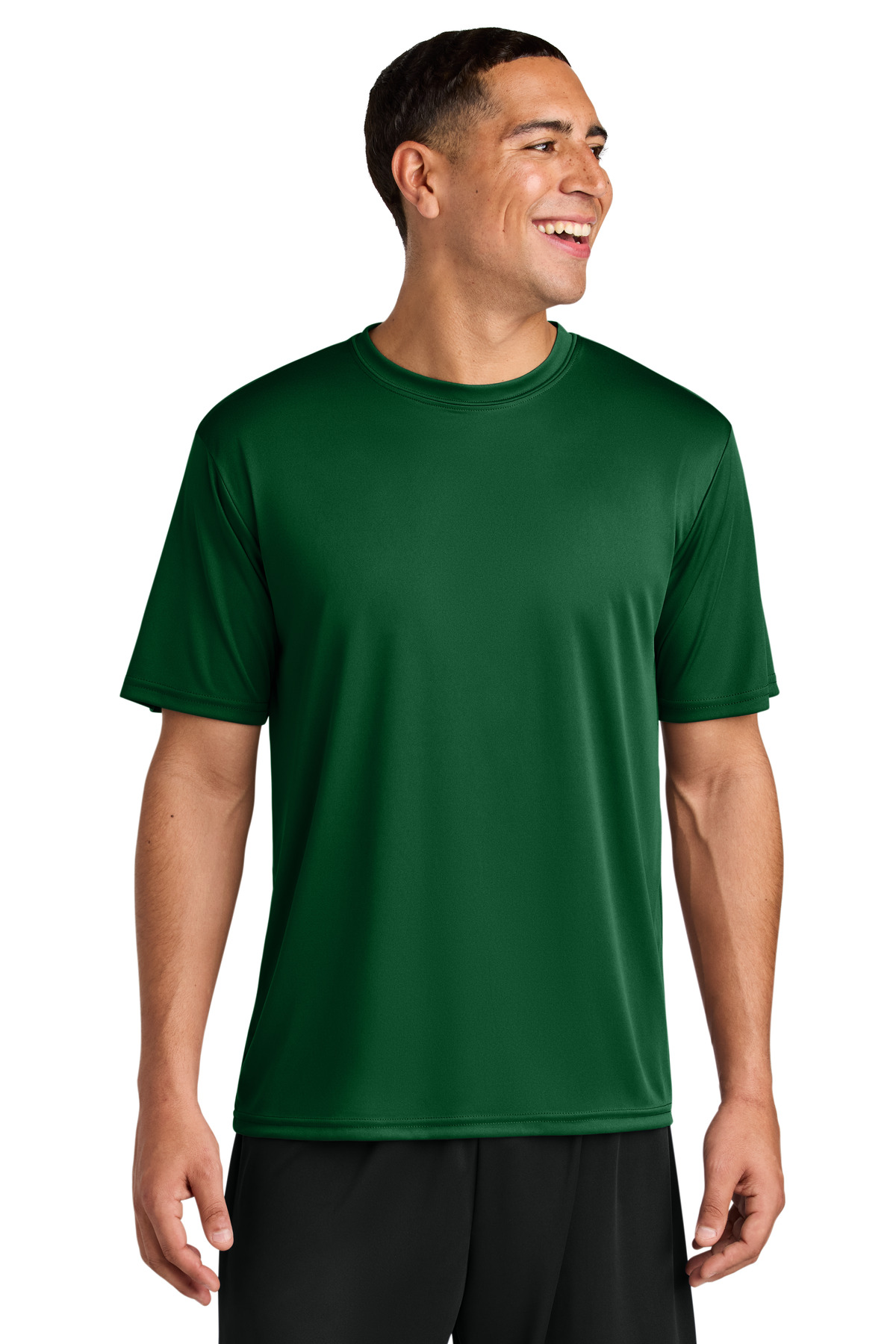 A4N3142_forest_model_front