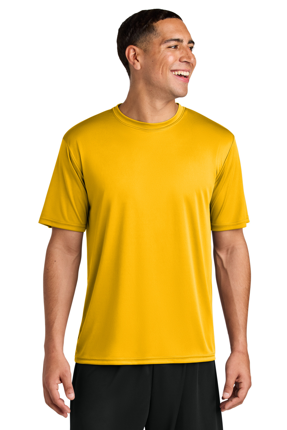A4N3142_gold_model_front