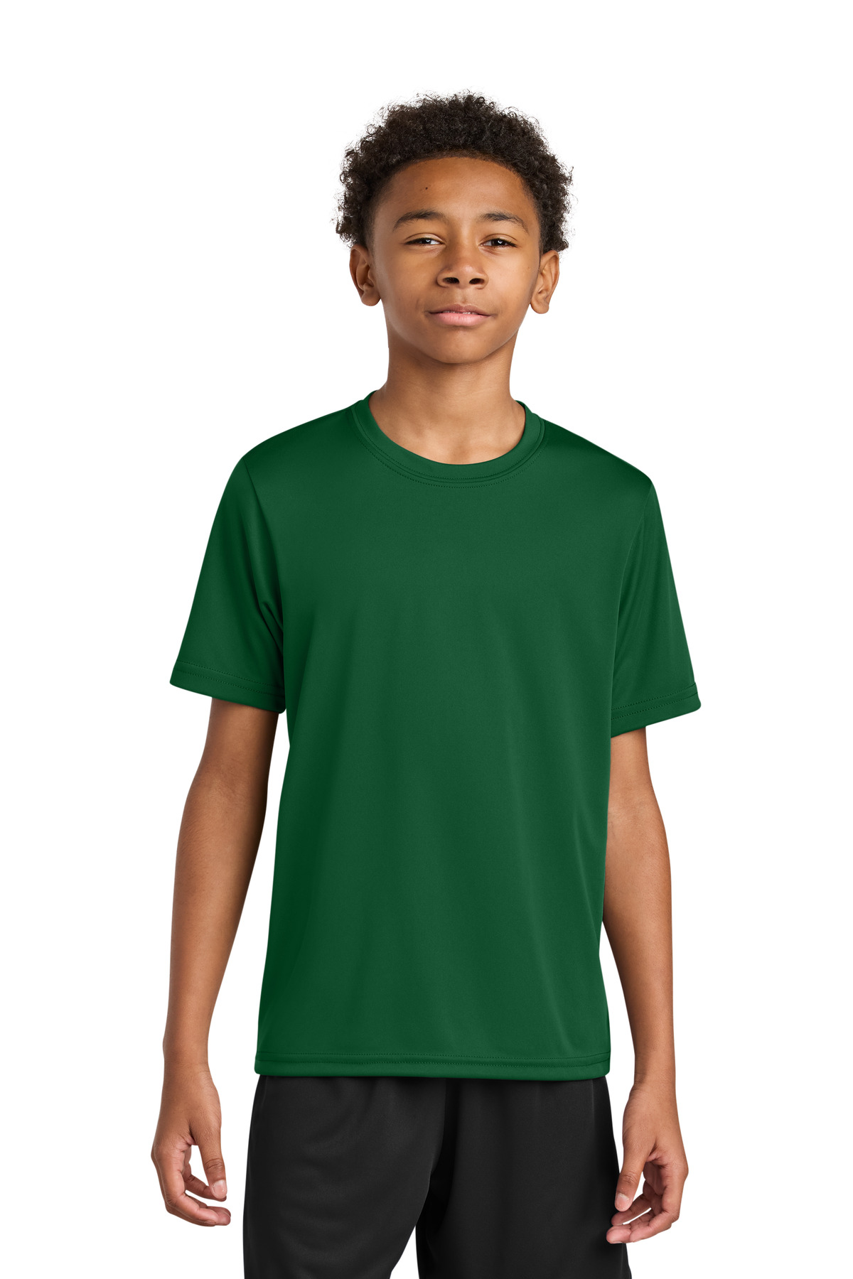 A4NB3142_forest_model_front
