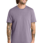 AL2100_cosmicpurple_model_front