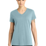 DM1170L_bluefog_model_front