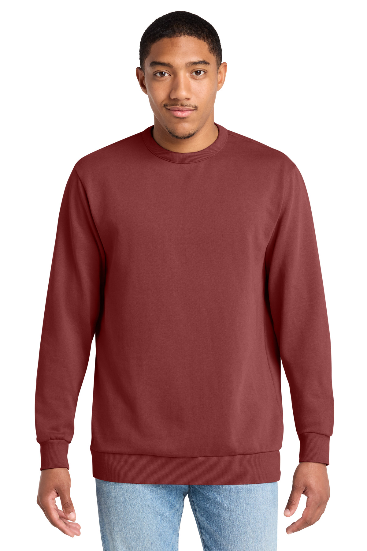 DT2204_garnet_model_front