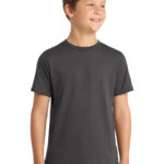 PC381Y_charcoal_model_front