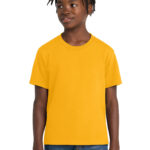 PC61Y_gold_model_front